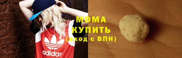 молекула духа Вяземский