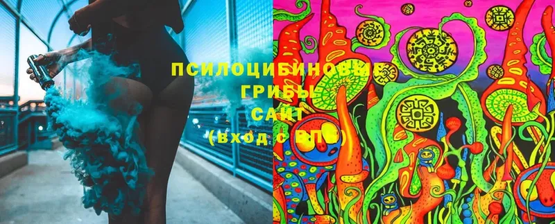 Псилоцибиновые грибы Cubensis  kraken рабочий сайт  Белоозёрский 